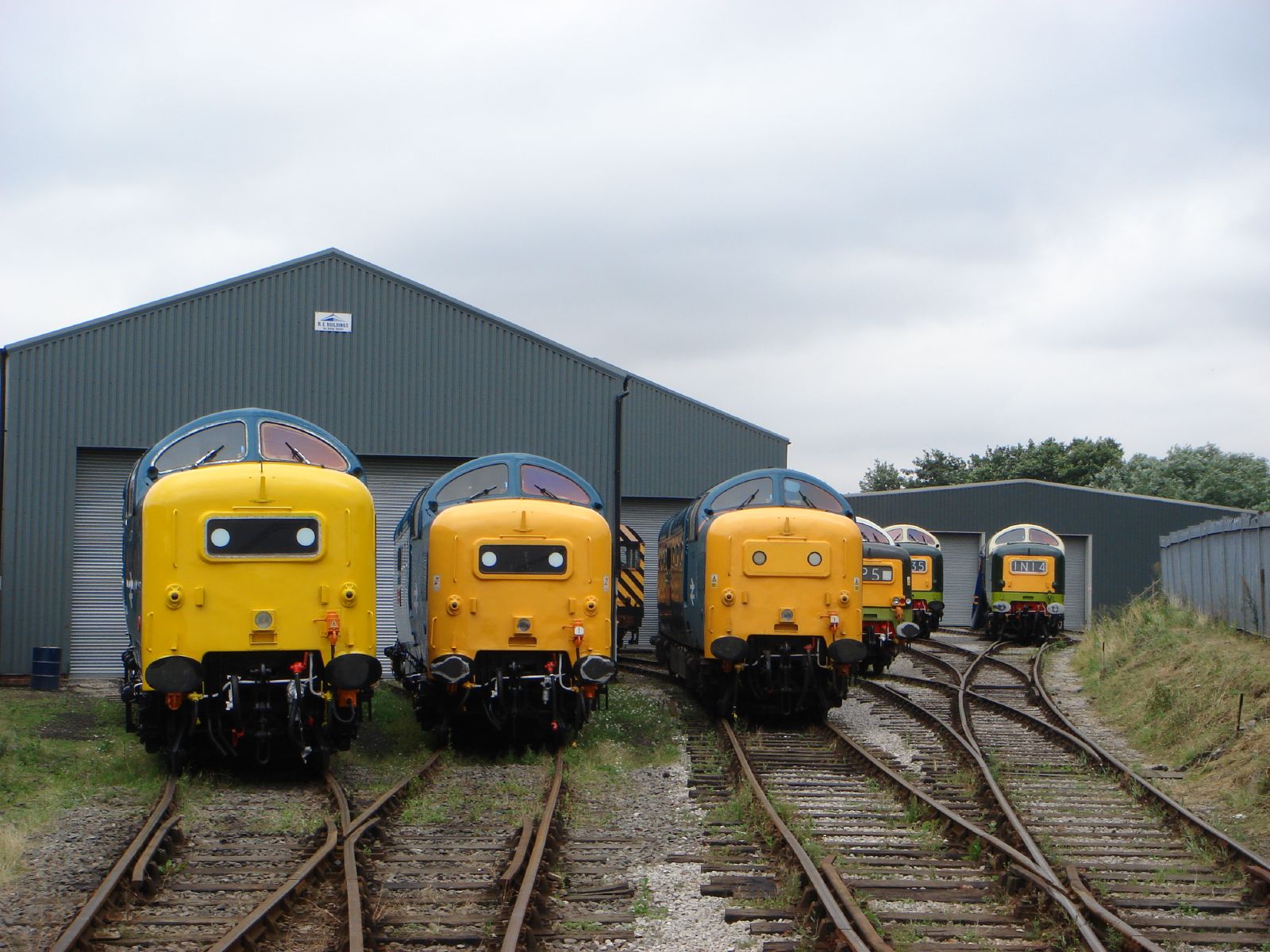 Six preserved Deltic diesel locomotives in blue and two-tone green liveries lined up nose-first around the turntable at Barrow Hill roundhouse.