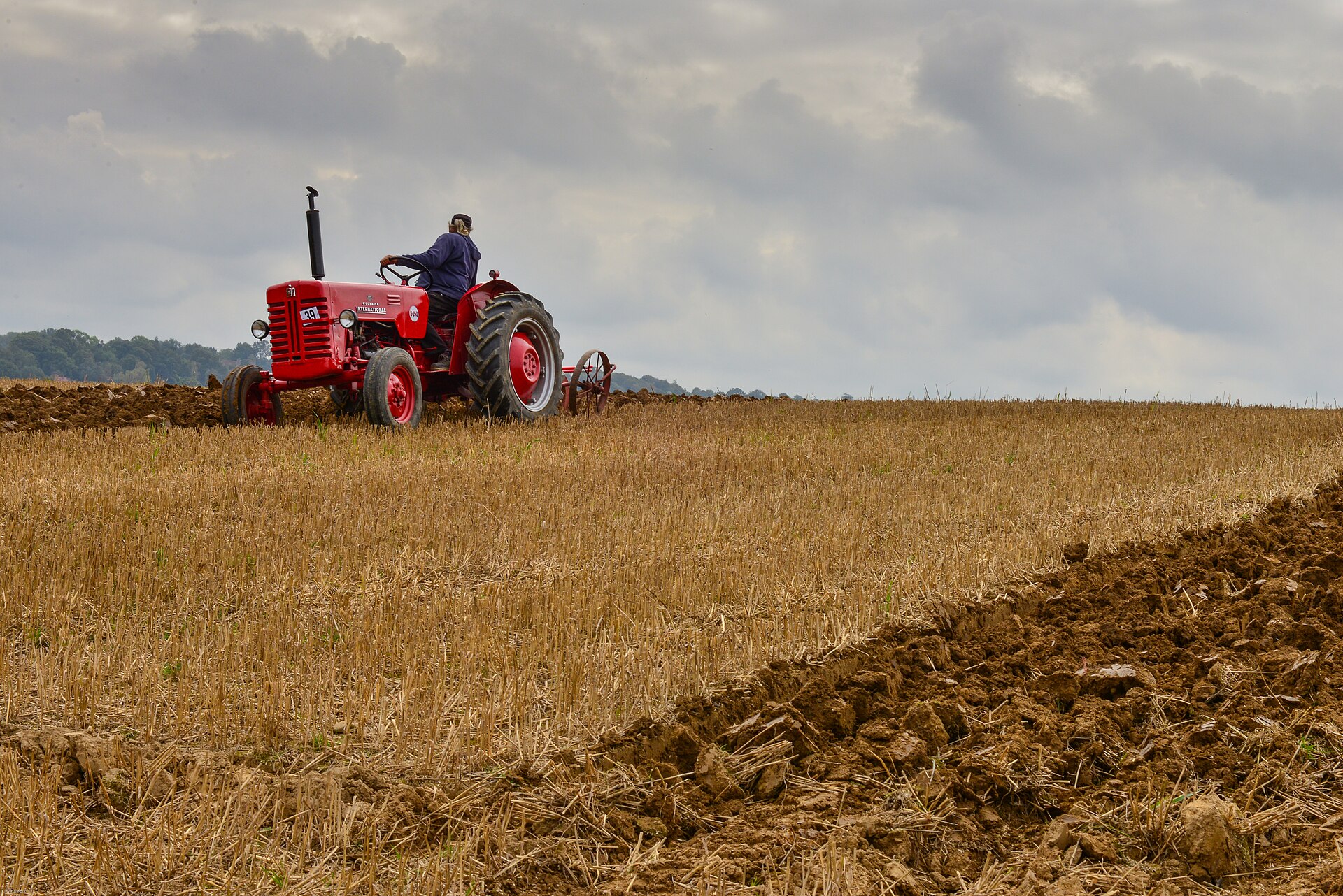 A vintage red McCormick tractor ploughs a stubble field at a Sussex ploughing match, the driver at the wheel under a heavy grey sky with a dark diagonal of fresh furrows in the foreground.
